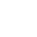 Alt Housing Icon